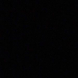 Meet your Posher, Bella